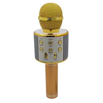 ميکروفون handheld ktv ws-858 ا Microphone ktv ws-858